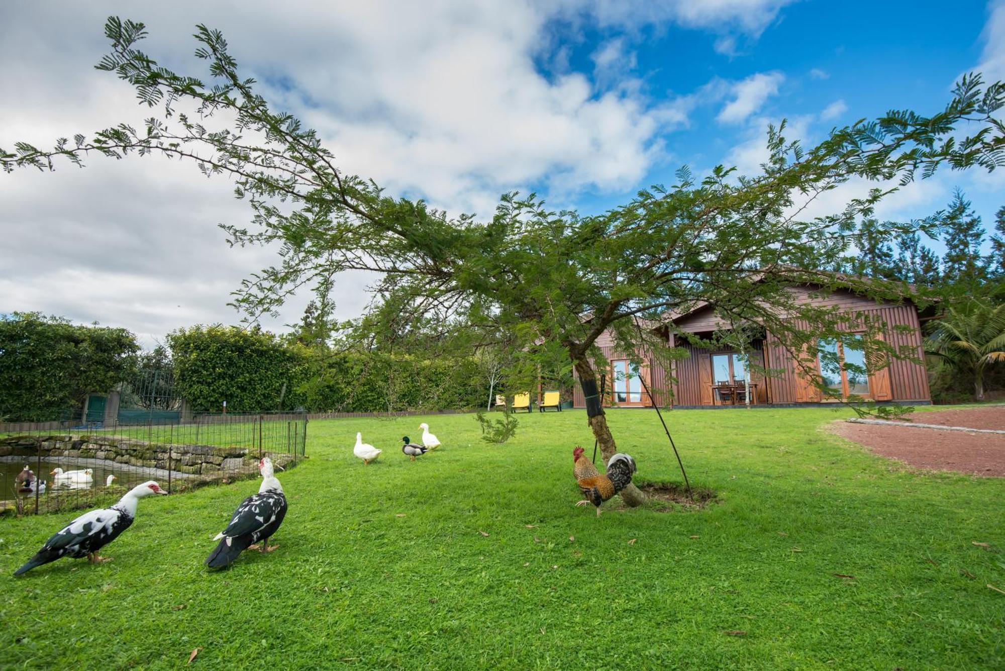 Quinta Dos Curubas Villa Vila Franca do Campo Ngoại thất bức ảnh