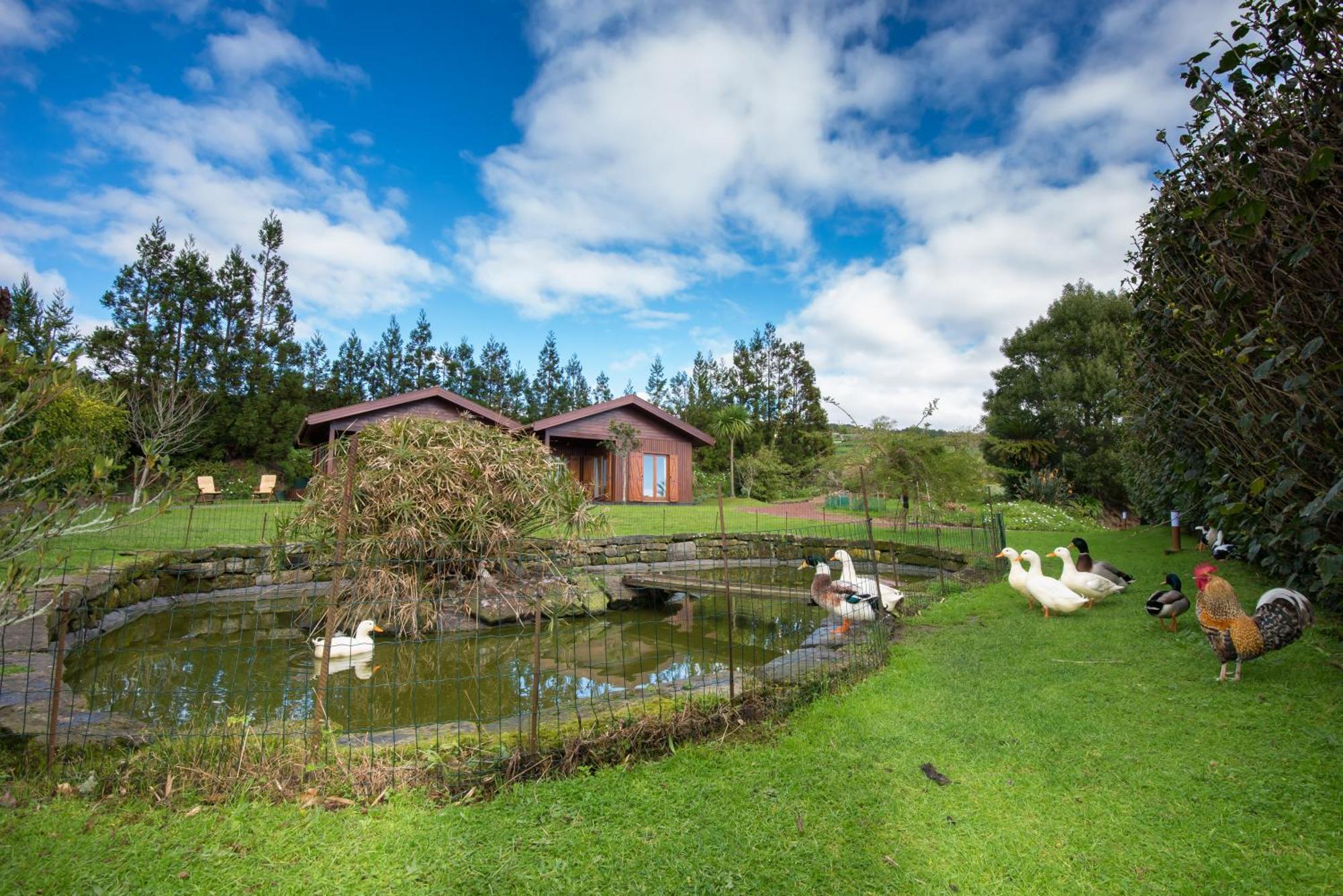 Quinta Dos Curubas Villa Vila Franca do Campo Ngoại thất bức ảnh